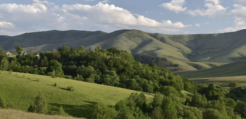 Istorija Rakije u Srbiji